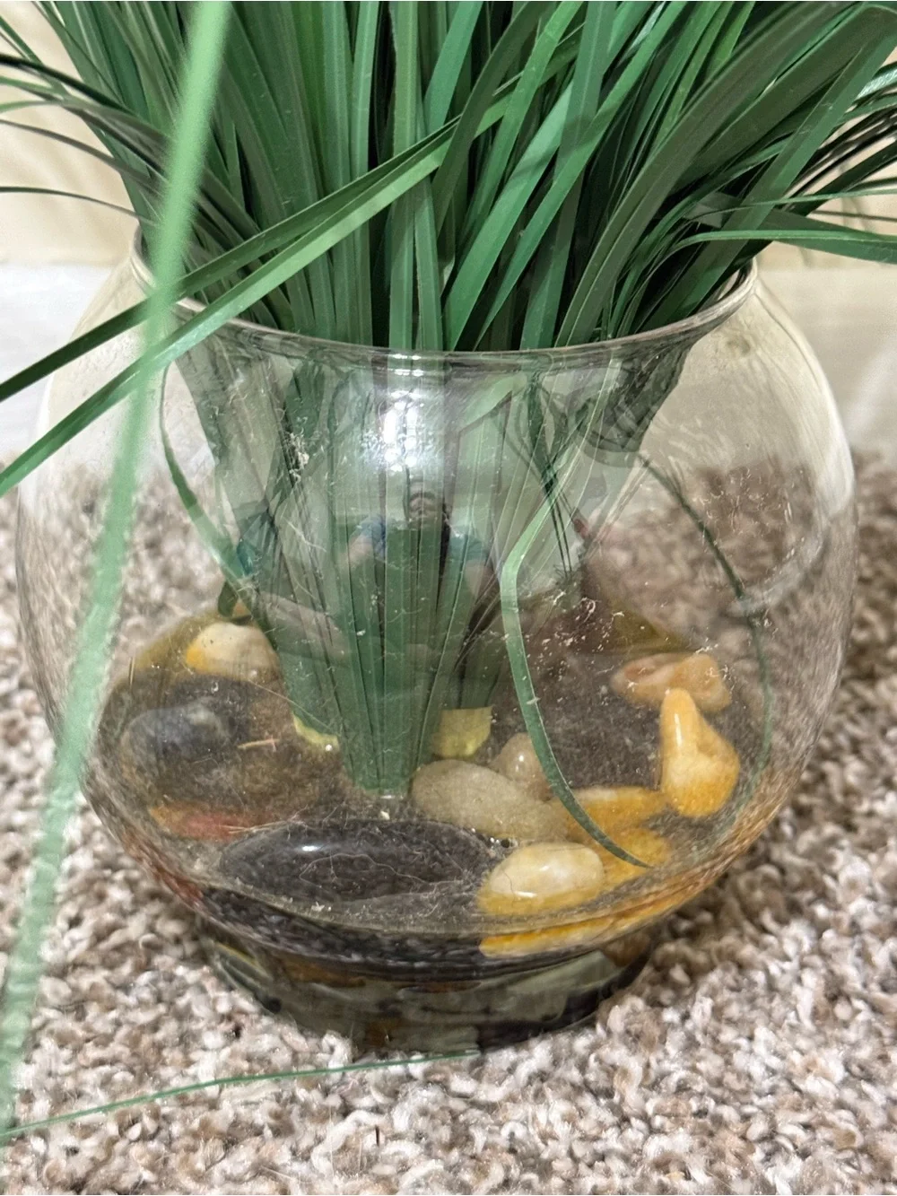 Artificial plant in glass round vase with rocks
